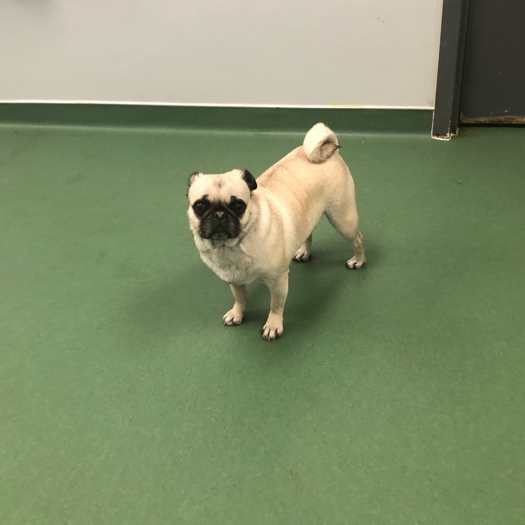 jpeg image-3a189fff50a3-1-1