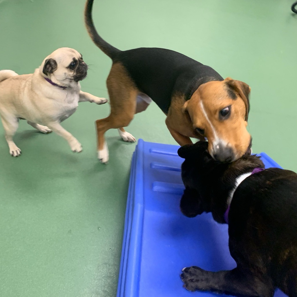 jpeg image-3db8a28fcf6b-1-1