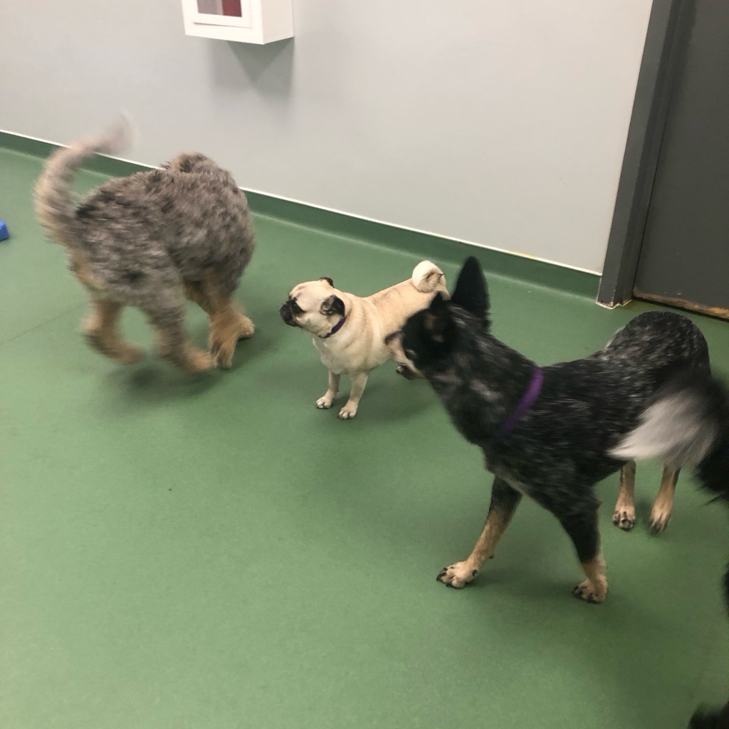 jpeg image-3ddfafcbc153-1-1