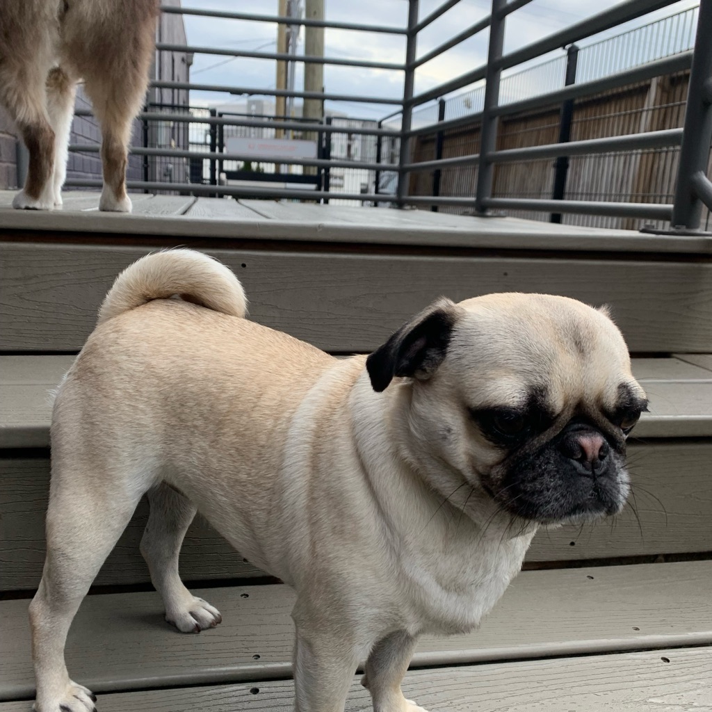 jpeg image-64b8a2499ac5-1-1