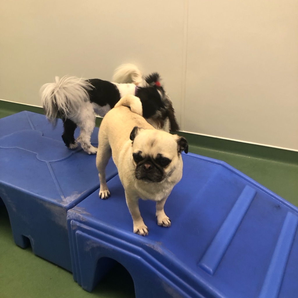 jpeg image-b067d29ebcb2-1-1