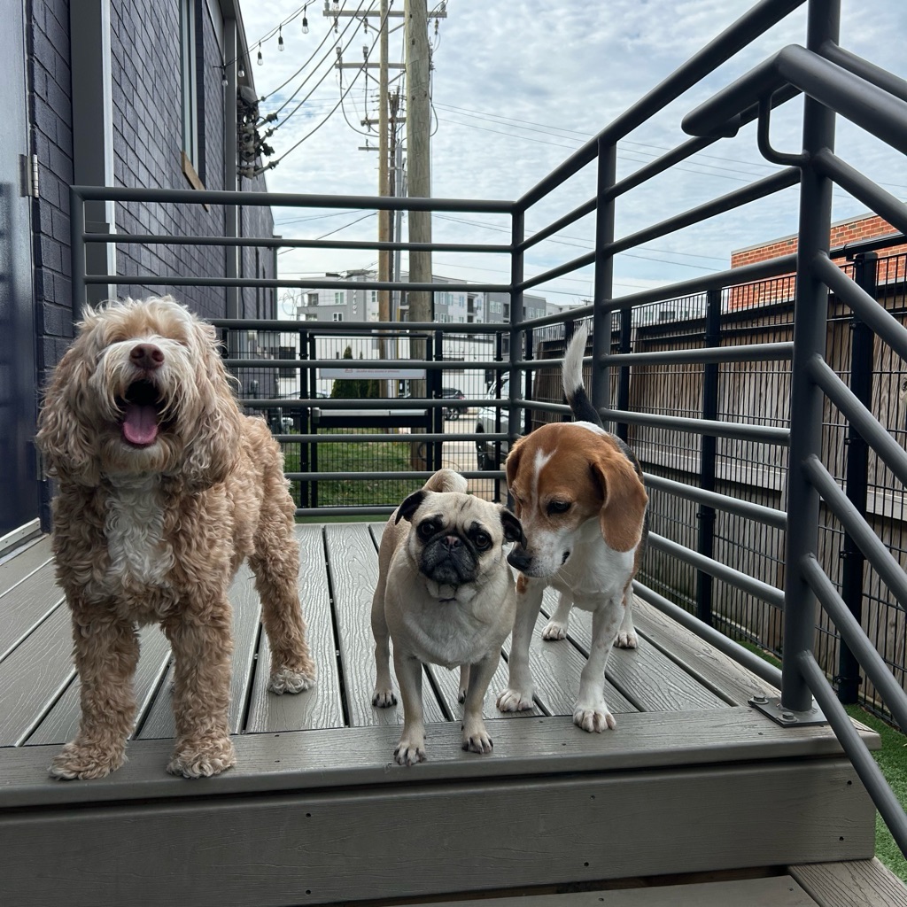 jpeg image-ca0b7c54b538-1-1